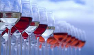 Industria e tecnologie  del settore vitivinicolo
